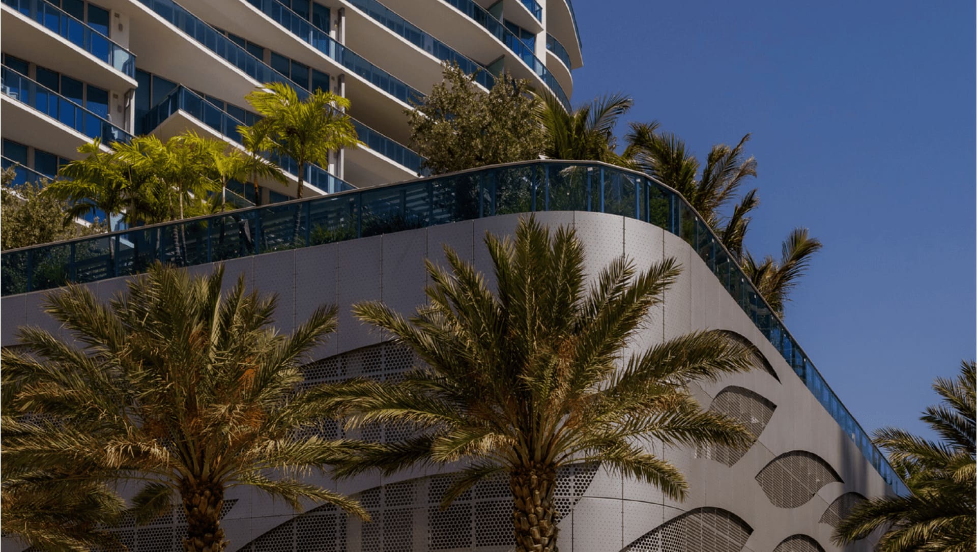 building with palm trees